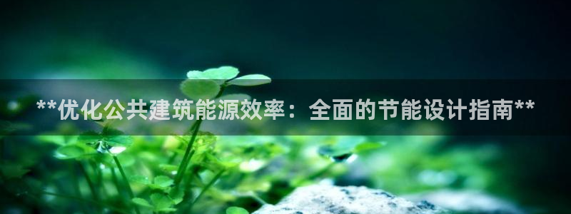 e尊国际是干什么的：**优化公共建筑能源效率：全面的节能设计指南**