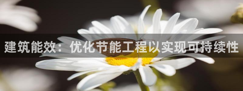 e尊平台：建筑能效：优化节能工程以实现可持续性