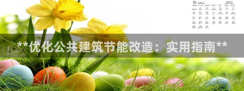 e尊国际官网·网址：**优化公共建筑节能改造：实用指南**