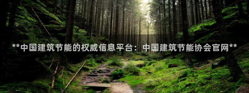 e尊国际可靠吗：**中国建筑节能的权威信息平台：中国建筑节能协会官网**