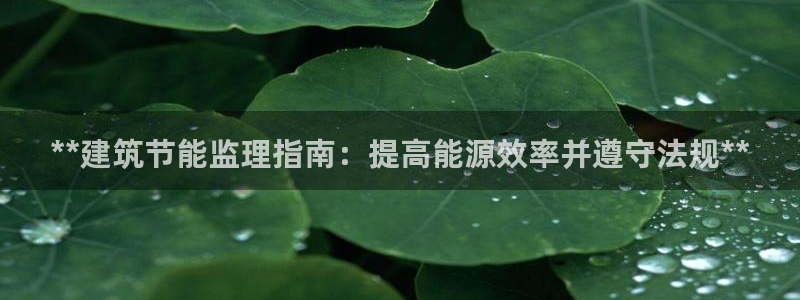 e尊国际官网：**建筑节能监理指南：提高能源效率并遵守法规**