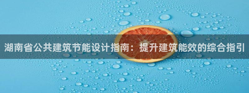 e尊国际平台：湖南省公共建筑节能设计指南：提升建筑能效的综合指引