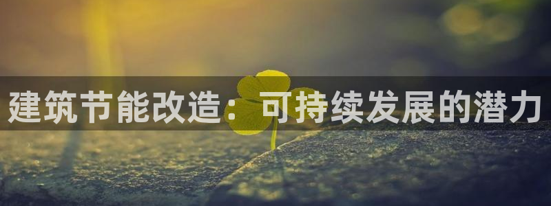 e尊国际-可可计划：建筑节能改造：可持续发展的潜力