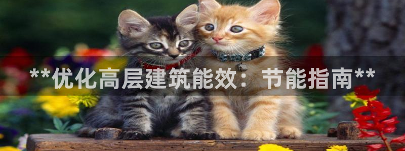 e尊国际平台：**优化高层建筑能效：节能指南**