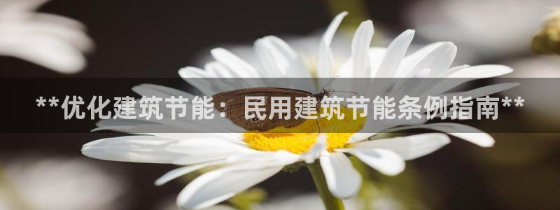 e尊官网：**优化建筑节能：民用建筑节能条例指南**