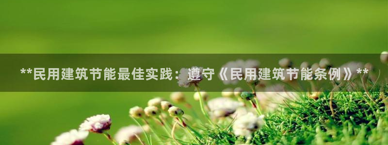 e尊电竞：**民用建筑节能最佳实践：遵守《民用建筑节能条例》**
