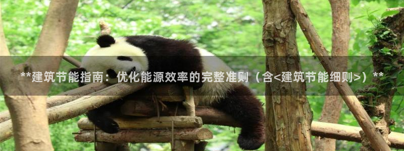 e尊国际官网·网址：**建筑节能指南：优化能源效率的完整准则（含<建筑节能细则>）**