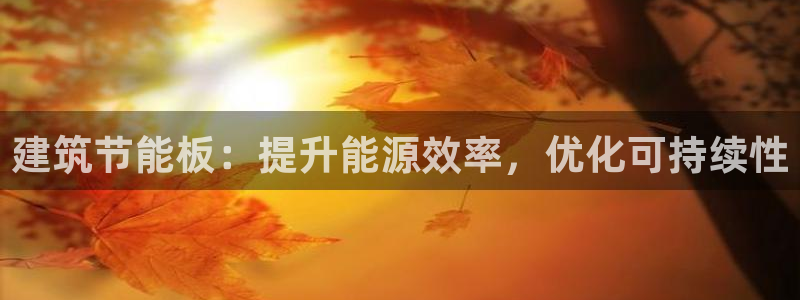 e尊国际官网app：建筑节能板：提升能源效率，优化可持续性
