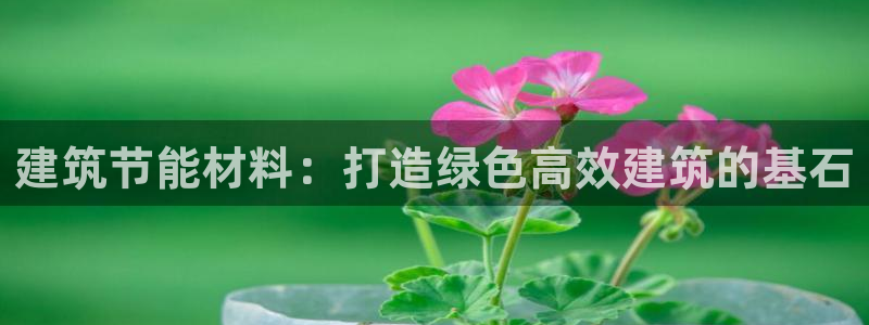 e尊国际地址：建筑节能材料：打造绿色高效建筑的基石