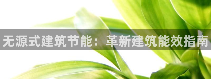 e尊官网：无源式建筑节能：革新建筑能效指南