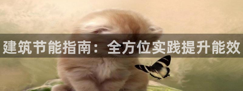 e尊国际是个黑网：建筑节能指南：全方位实践提升能效