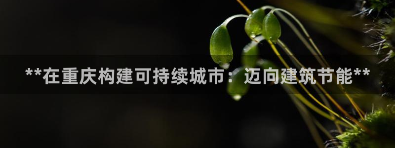 尊亿游戏国际官网：**在重庆构建可持续城市：迈向建筑节能**