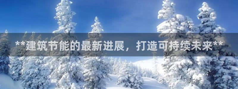 e尊国际平台：**建筑节能的最新进展，打造可持续未来**