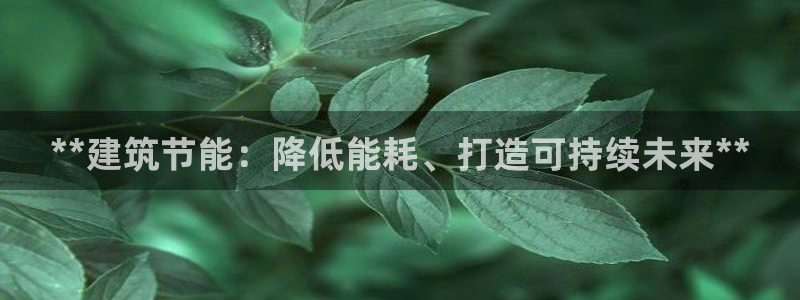 e尊国际娱乐官网地址：**建筑节能：降低能耗、打造可持续未来**