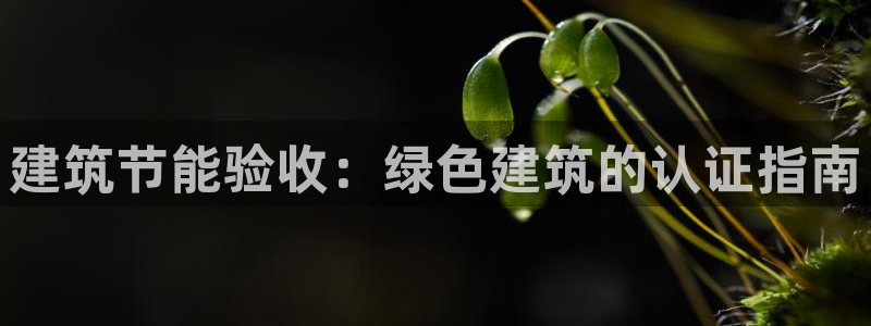 e尊国际平台：建筑节能验收：绿色建筑的认证指南
