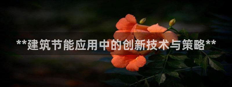 e尊国际官网：**建筑节能应用中的创新技术与策略**