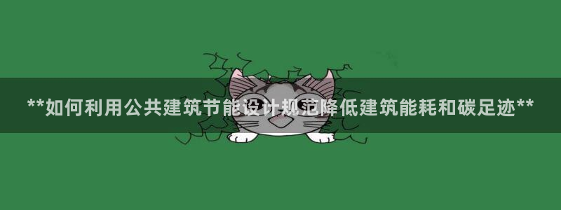 e尊国际可靠吗：**如何利用公共建筑节能设计规范降低建筑能耗和碳足迹**