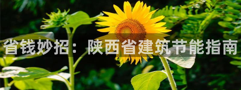 尊亿游戏国际官网：省钱妙招：陕西省建筑节能指南