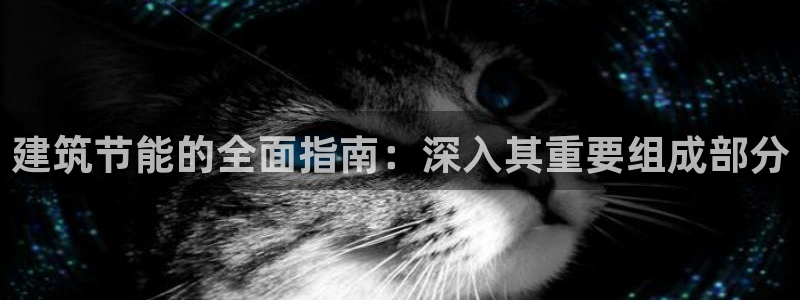 e尊国际app