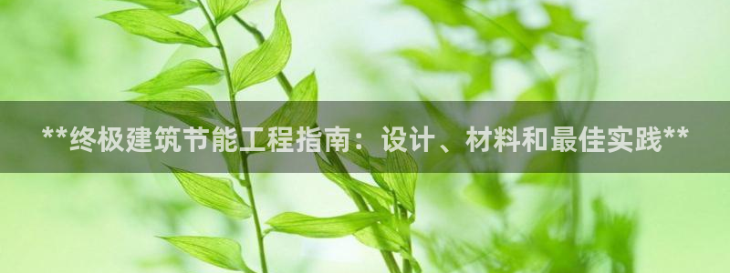 e尊平台：**终极建筑节能工程指南：设计、材料和最佳实践**
