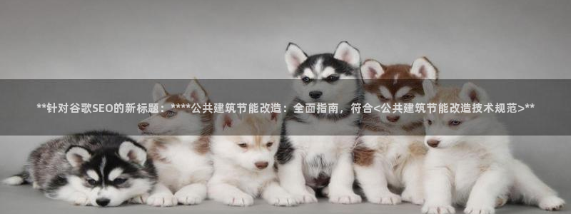 e尊国际-e尊国际官网：**针对谷歌SEO的新标题：****公共建筑节能改造：全面指南，符合<公共建筑节能改造技术规范>**