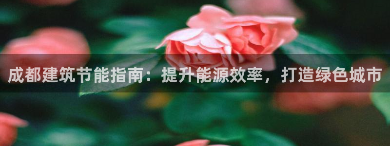 e尊平台：成都建筑节能指南：提升能源效率，打造绿色城市
