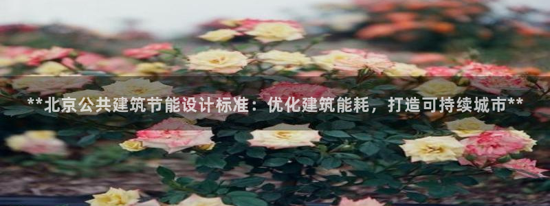 e尊国际客服