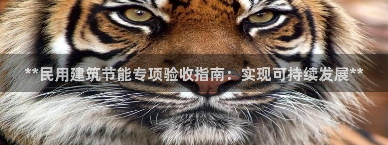 e尊国际客户端下载：**民用建筑节能专项验收指南：实现可持续发展**