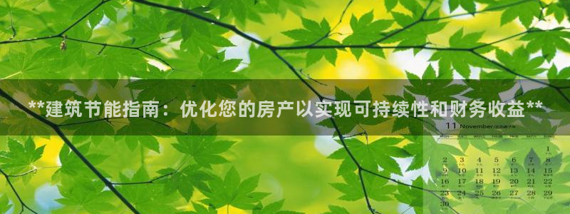e尊国际平台：**建筑节能指南：优化您的房产以实现可持续性和财务收益**