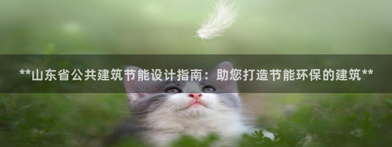 E尊国际：**山东省公共建筑节能设计指南：助您打造节能环保的建筑**