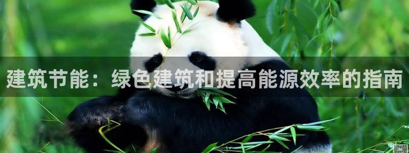 e尊国际官网：建筑节能：绿色建筑和提高能源效率的指南