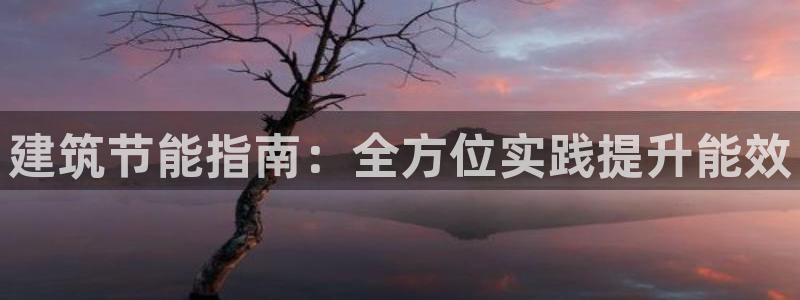 e尊国际-可可计划：建筑节能指南：全方位实践提升能效