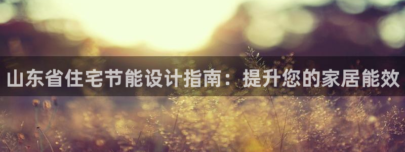 e尊国际平台：山东省住宅节能设计指南：提升您的家居能效