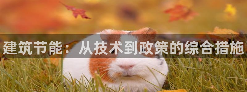 e尊国际平台：建筑节能：从技术到政策的综合措施