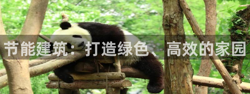 e尊国际-可可计划：节能建筑：打造绿色、高效的家园