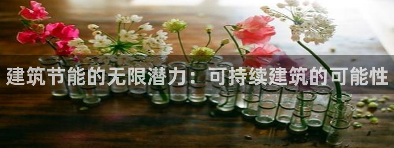 e尊国际客户端：建筑节能的无限潜力：可持续建筑的可能性