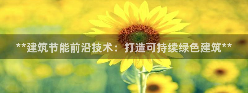 e尊国际官网·网址：**建筑节能前沿技术：打造可持续绿色建筑**
