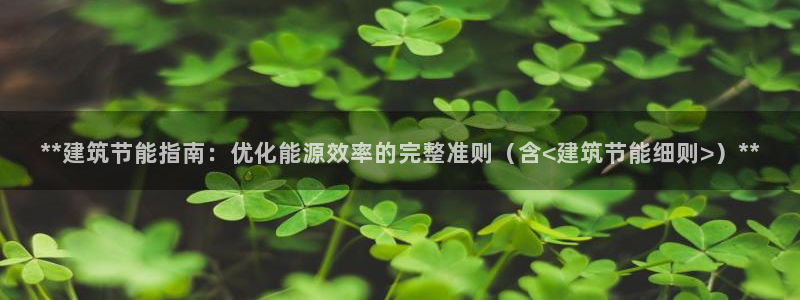 E尊国际网站：**建筑节能指南：优化能源效率的完整准则（含<建筑节能细则>）**