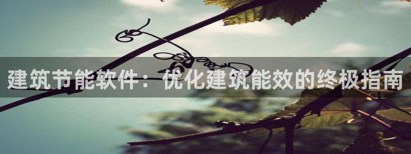 E尊国际：建筑节能软件：优化建筑能效的终极指南