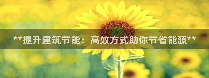 谁知道e尊国际的网址：**提升建筑节能：高效方式助你节省能源**