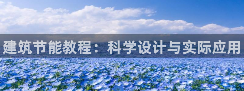 e尊国际是干什么的：建筑节能教程：科学设计与实际应用
