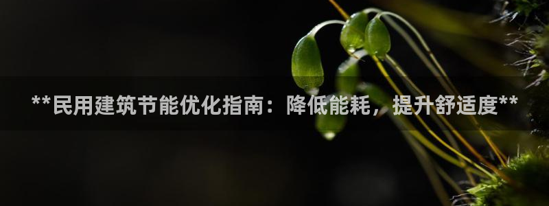 e尊国际平台：**民用建筑节能优化指南：降低能耗，提升舒适度**