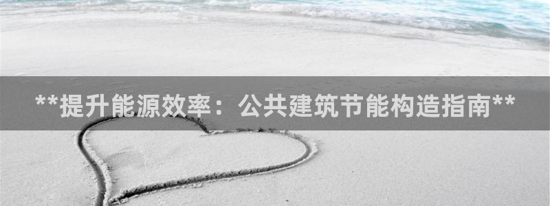 e尊国际官网·网址：**提升能源效率：公共建筑节能构造指南**