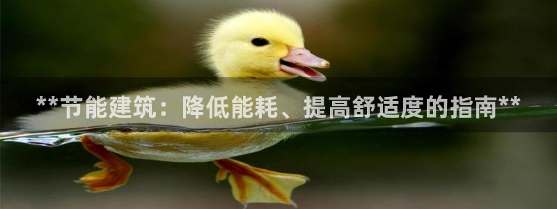 e尊国际地址：**节能建筑：降低能耗、提高舒适度的指南**