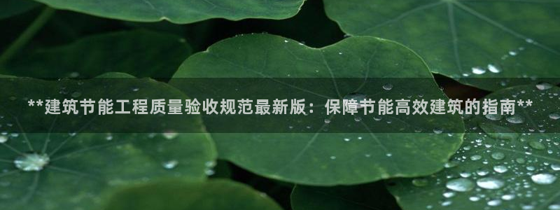 谁知道e尊国际的网址：**建筑节能工程质量验收规范最新版：保障节能高效建筑的指南**