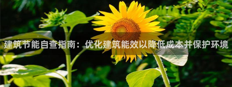 e尊国际客户端下载：建筑节能自查指南：优化建筑能效以降低成本并保护环境