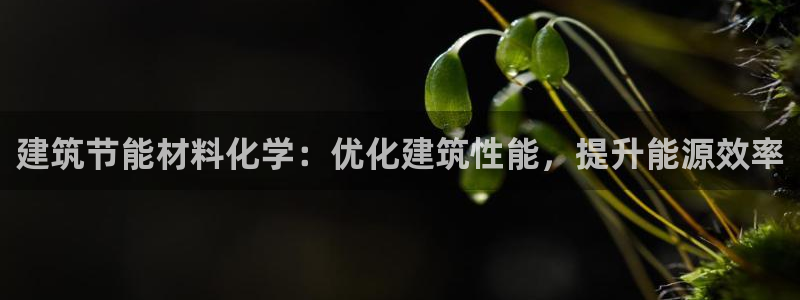 谁知道e尊国际的网址：建筑节能材料化学：优化建筑性能，提升能源效率