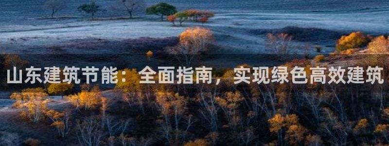 e尊平台：山东建筑节能：全面指南，实现绿色高效建筑