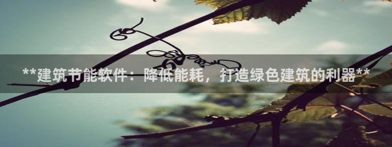 e尊国际平台：**建筑节能软件：降低能耗，打造绿色建筑的利器**