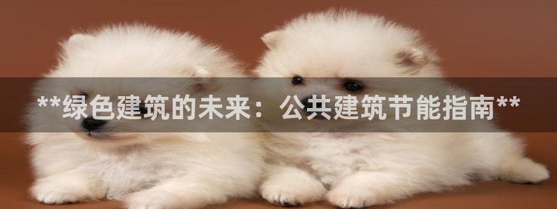 E尊国际：**绿色建筑的未来：公共建筑节能指南**